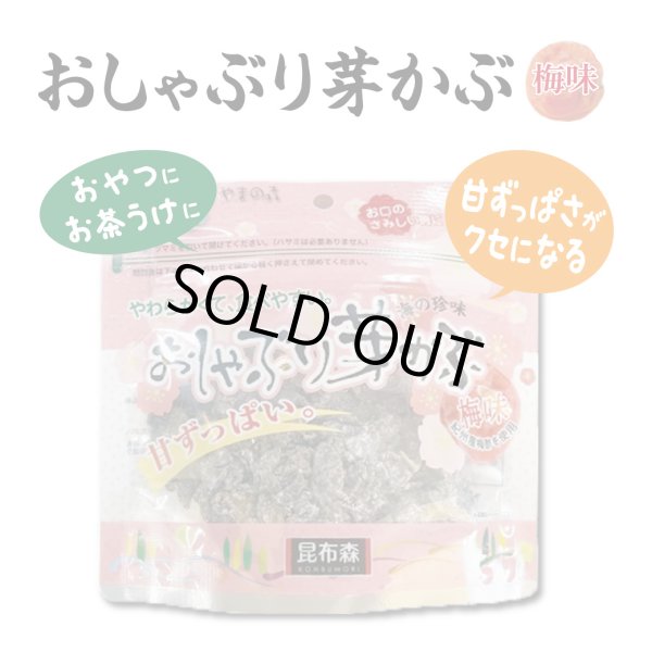 画像1: おしゃぶり芽かぶ梅味 (1)