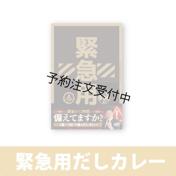 画像1: 緊急用だしカレー (1)