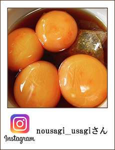 nousagi__usagi