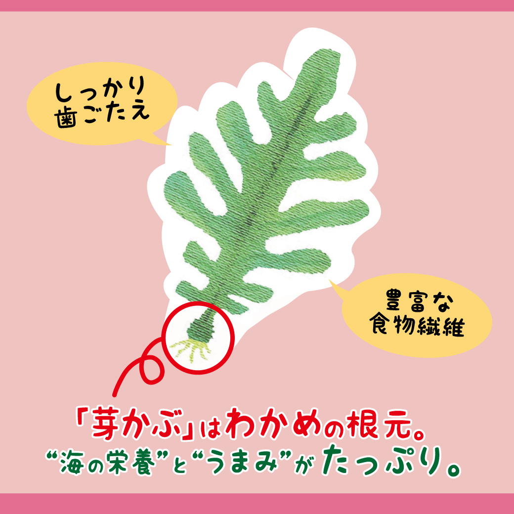 しっかりと歯ごたえで、食物繊維の豊富なおやつです。「芽かぶ」はわかめの根元。“海の栄養”と“うまみ”が豊富です。
